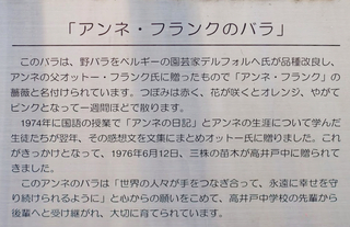 アンバラ4b.jpg