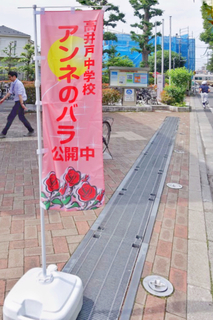 アンバラ5b.jpg