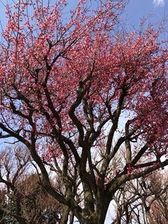 IMG_9467.jpg
