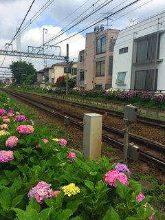 Img_7368.jpg